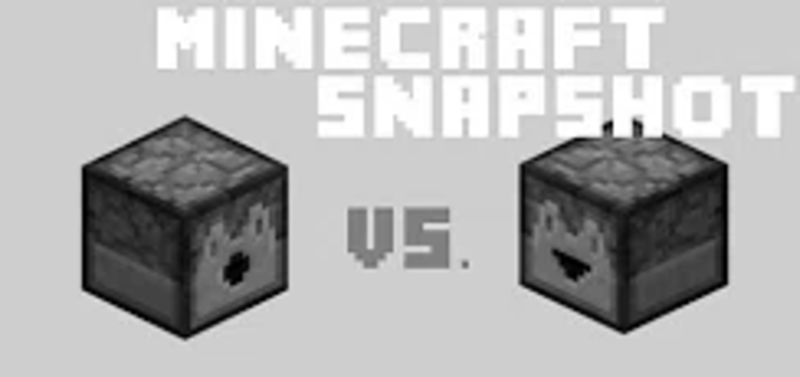 minecraft dispenser vs dropper