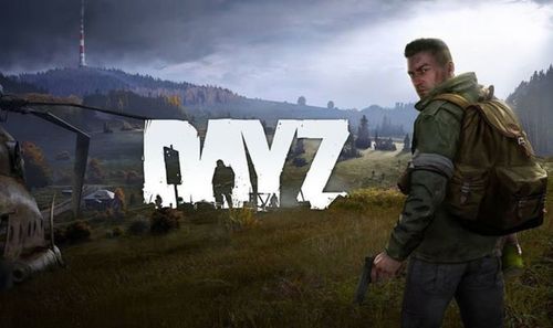 dayz