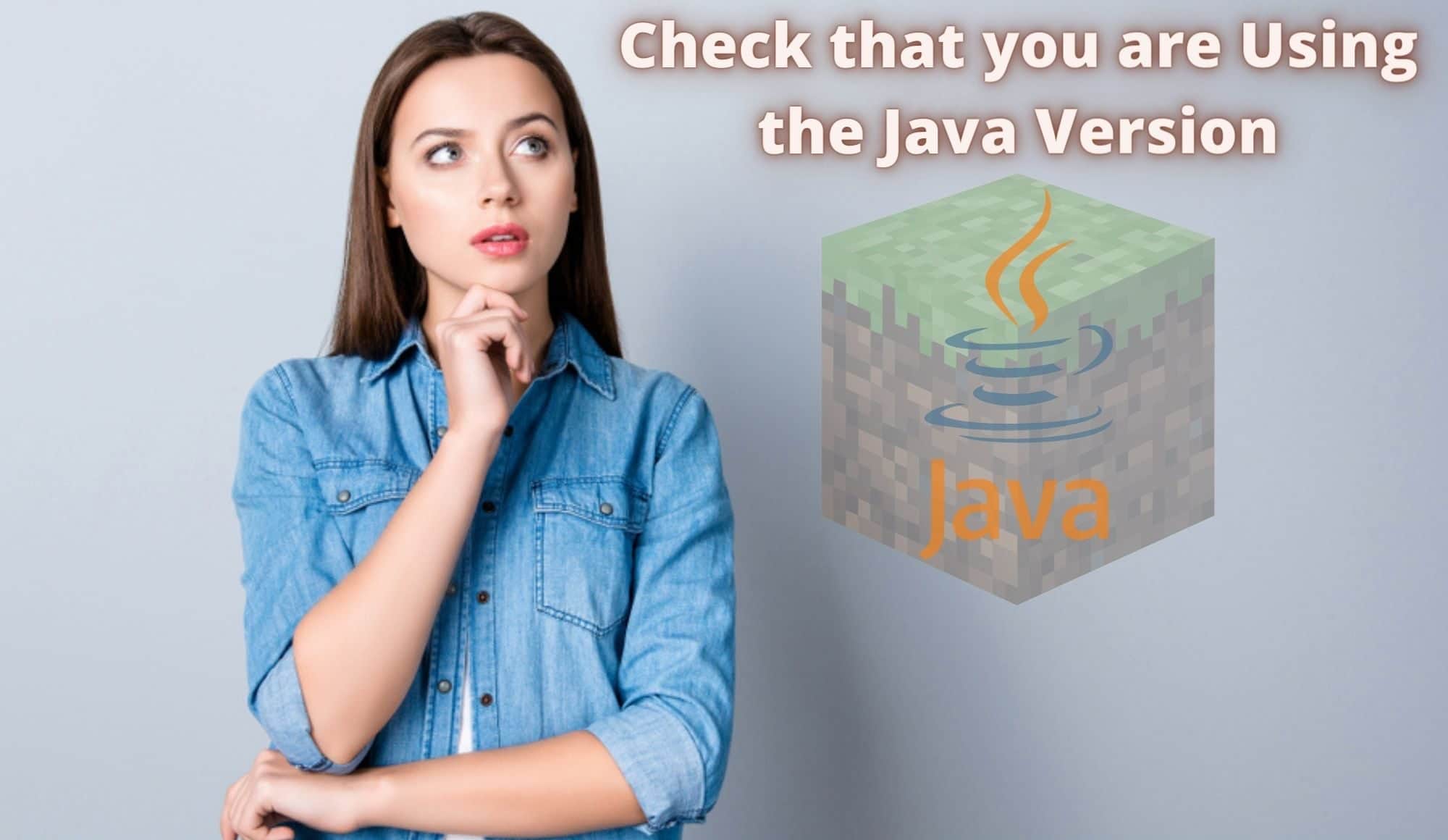Check that you are Using the Java Version