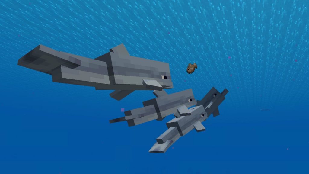 minecraft dolphin despawn