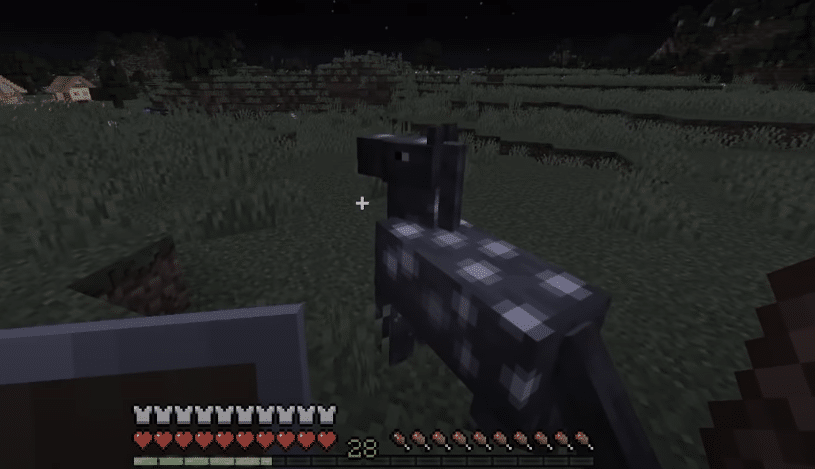 5 Reasons Why Horse Disappeared In Minecraft West Games