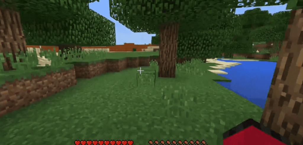 recording lag in minecraft single player maps