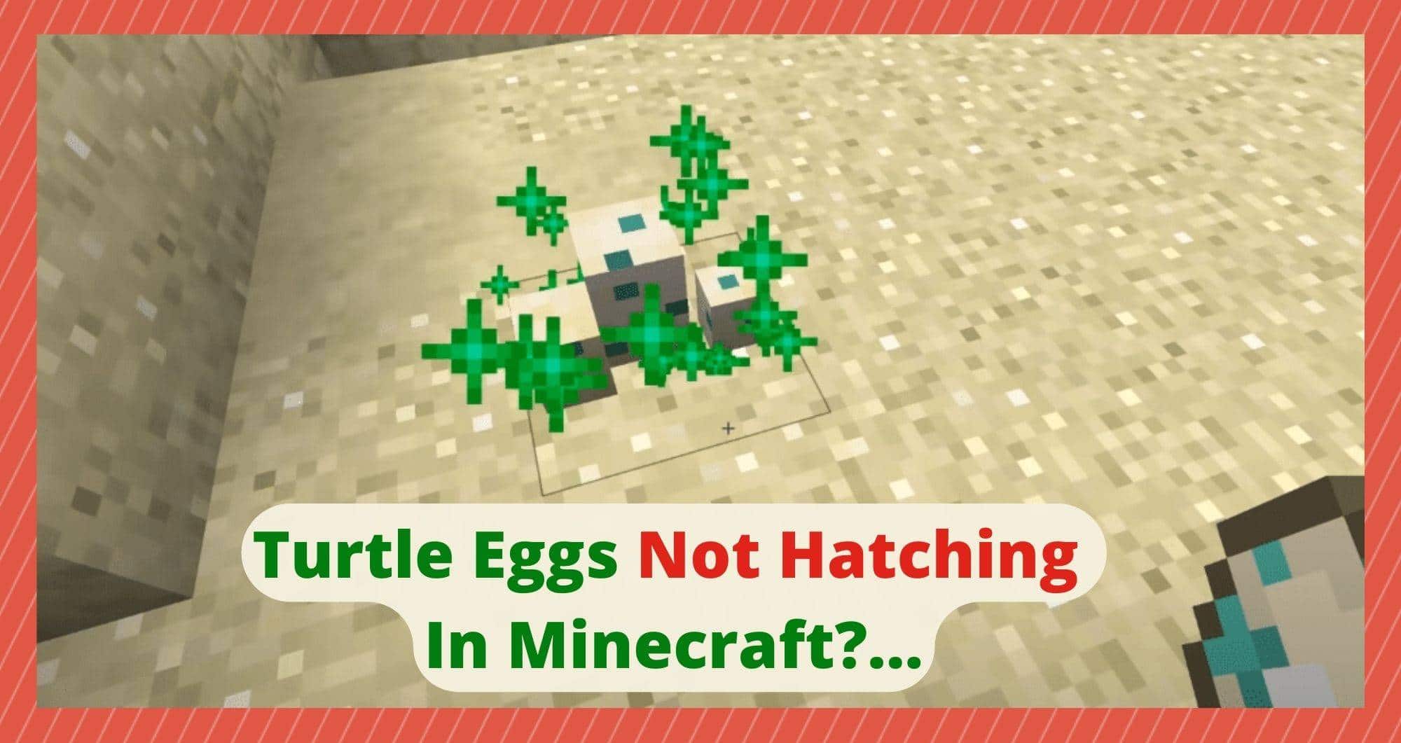 3 Things To Do If Turtle Eggs Hatching In Minecraft - West Games