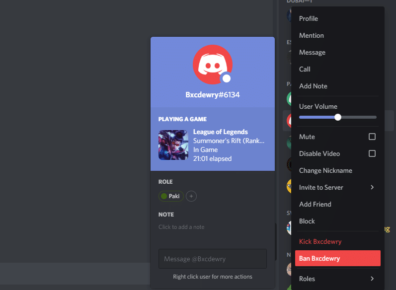 discord ban someone not in server