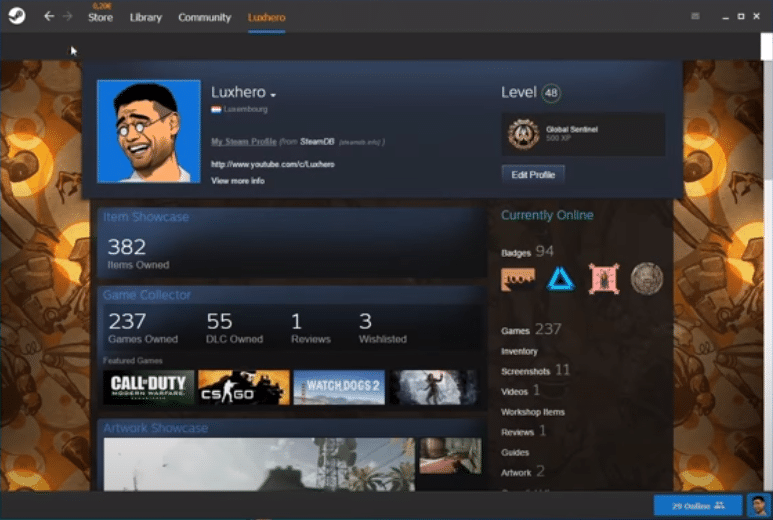 steam skin not showing up