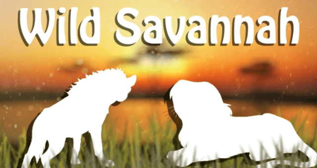 wild savannah