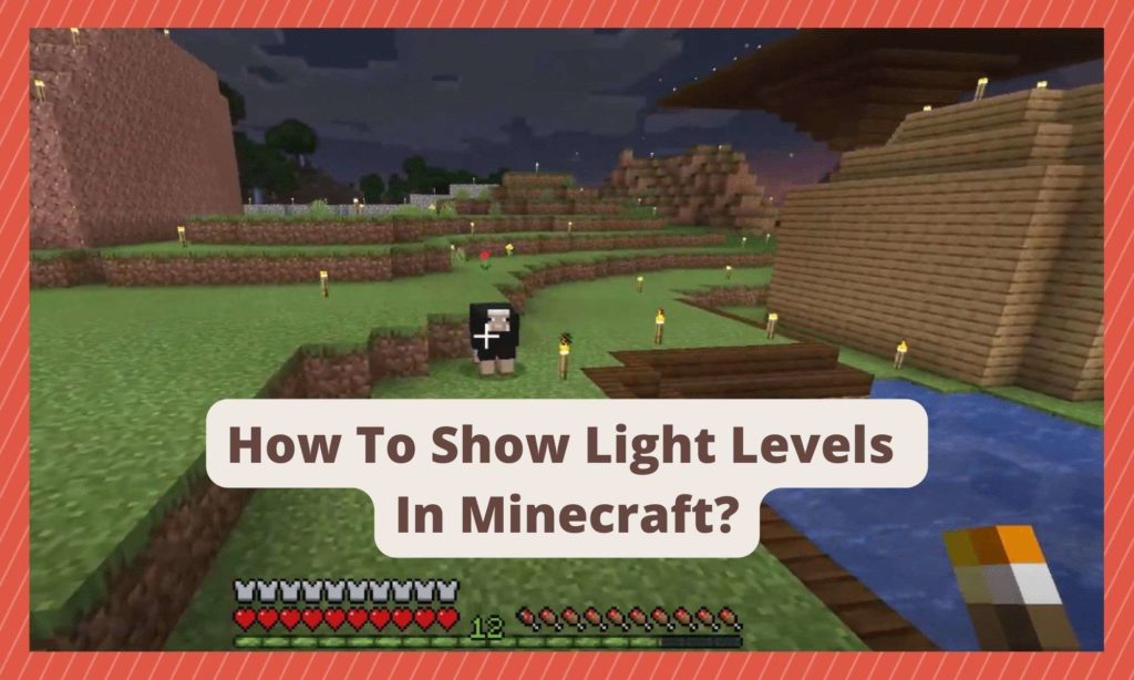 How To Show Light Levels In Minecraft? West Games