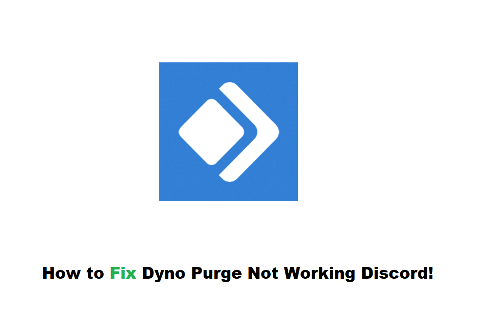 dyno purge not working discord