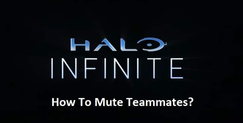 how to mute teammate halo infinite