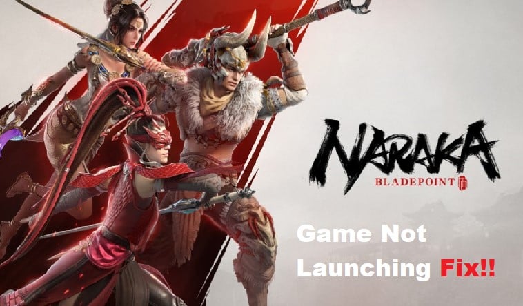 naraka bladepoint not launching