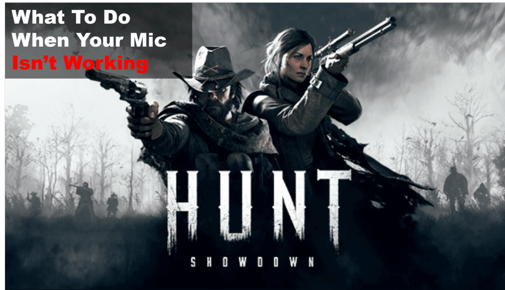 hunt showdown mic not working