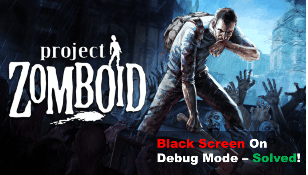 project zomboid debug mode black screen